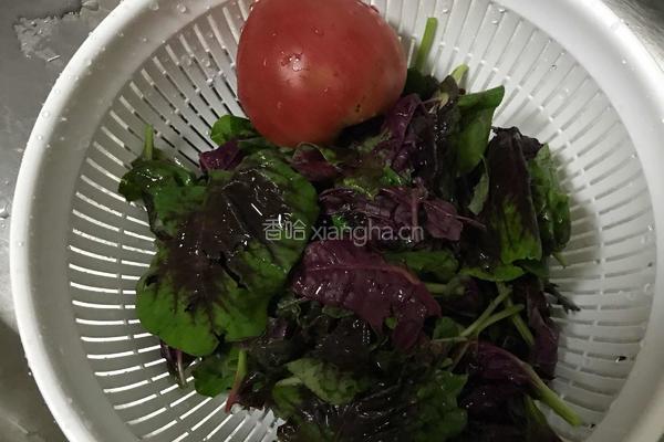 笋干肉丝面的做法图解3