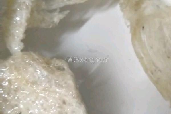 石峰糖牛奶燕窝的做法图解1
