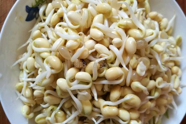 黄豆芽拌双丁的做法图解1