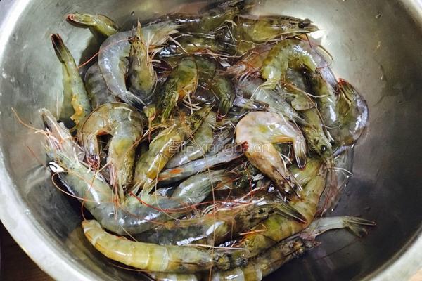 宝宝虾馄饨的做法图解1
