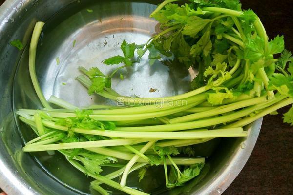 芹菜拌黄豆芽的做法图解2
