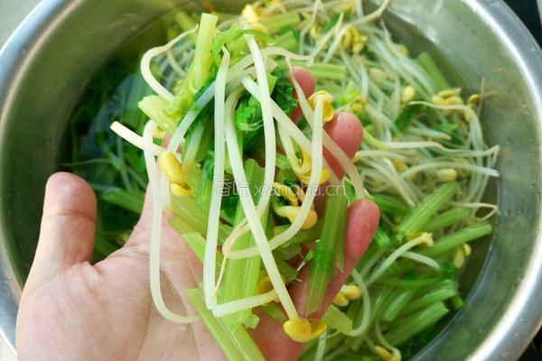芹菜拌黄豆芽的做法图解6