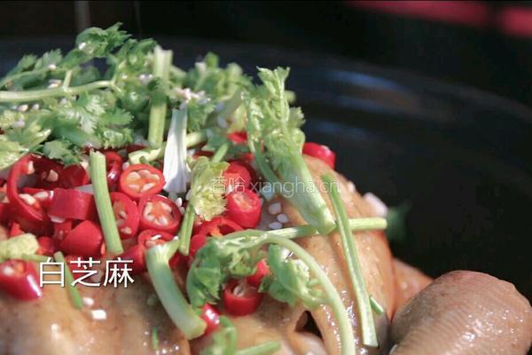 无水葱油鸡的做法图解8