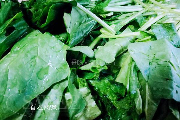 菠菜粉丝的做法图解2