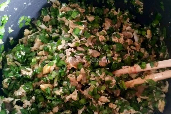 韭菜虾仁饺子的做法图解5