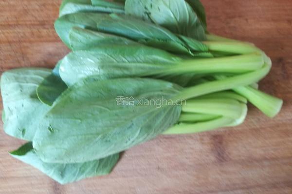 肉臊子酸汤面的做法图解10