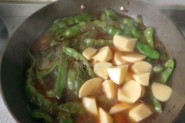 豆角炖土豆的做法图解12