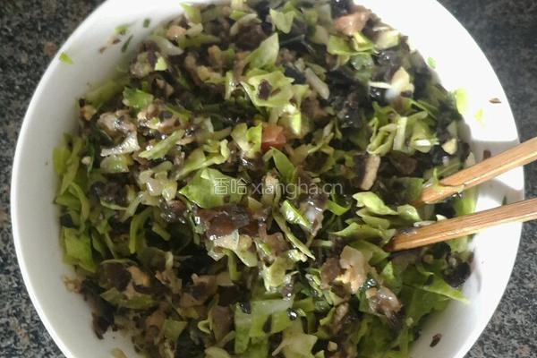 圆白菜木耳猪肉馅儿包子的做法图解1