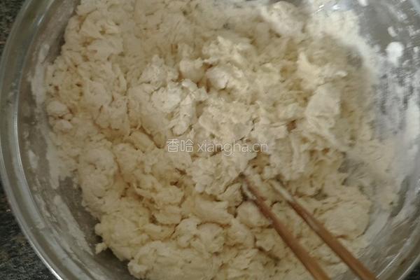 圆白菜木耳猪肉馅儿包子的做法图解3