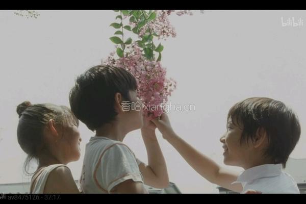 圆白菜木耳猪肉馅儿包子的做法图解6