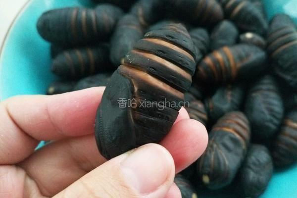 爆炒茧蛹的做法图解1