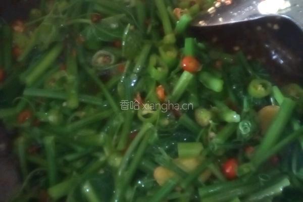 炒佛手瓜尖的做法图解2