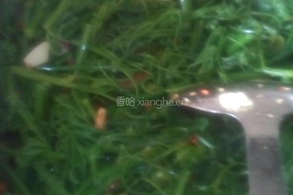 炒佛手瓜尖的做法图解3