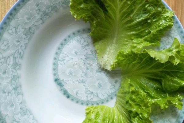 海苔鸡排饭的做法图解8