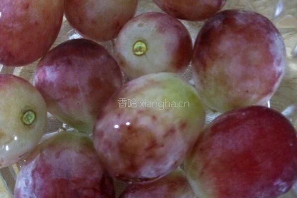 提子汁的做法图解2