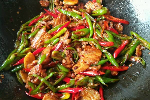农家小炒肉的做法图解9