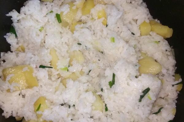土豆葱花焖饭的做法图解4