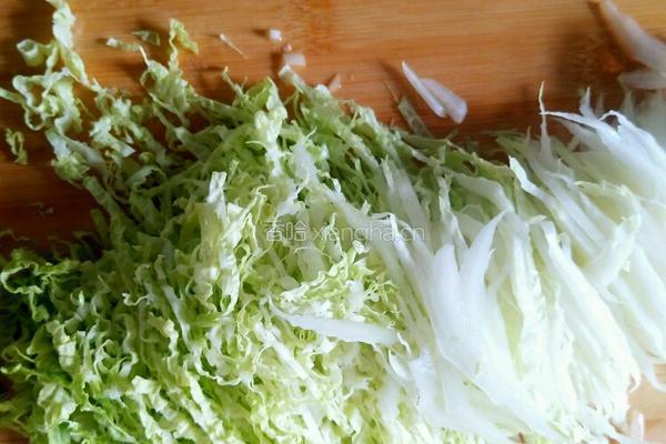 白菜虾仁饺子的做法图解2