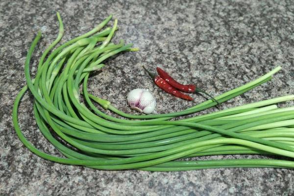 凉拌手撕蒜苔的做法图解1