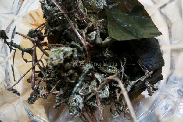 夏枯草荷叶茶的做法图解5