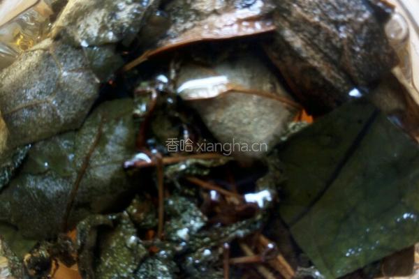 夏枯草荷叶茶的做法图解7