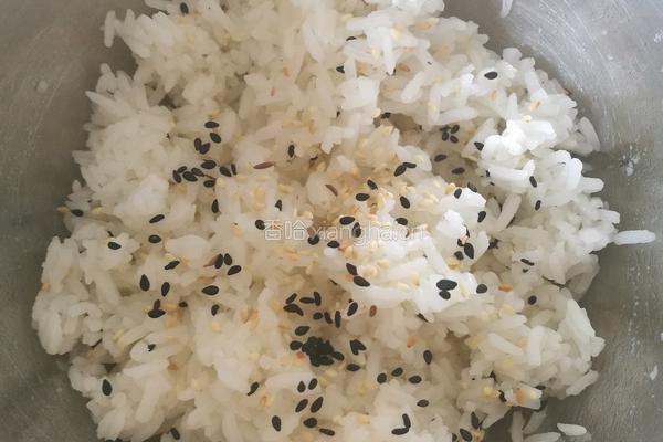 鱼松饭的做法图解7