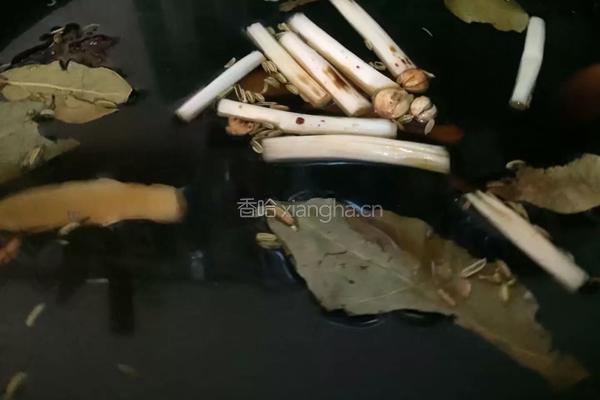家常酱肘子的做法图解3