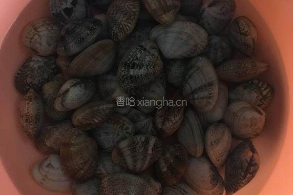 爆炒花蛤的做法图解1