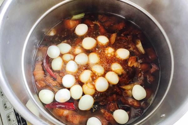 鹌鹑蛋红烧肉的做法图解17