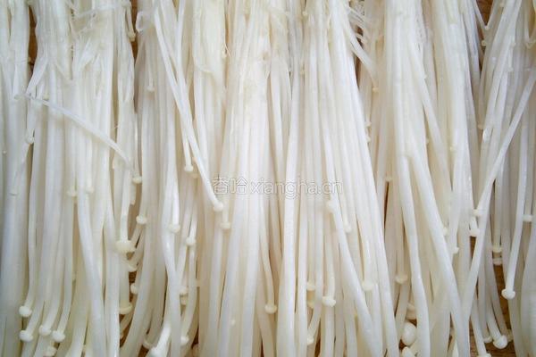 香煎金针菇的做法图解1