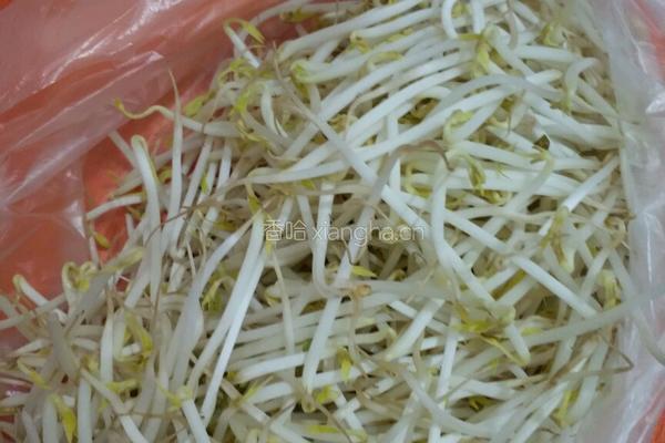 凉拌豆芽的做法图解1