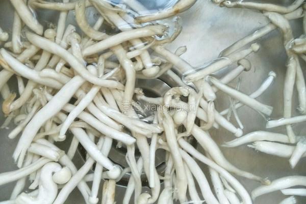 海鲜菇炒肉片的做法图解2