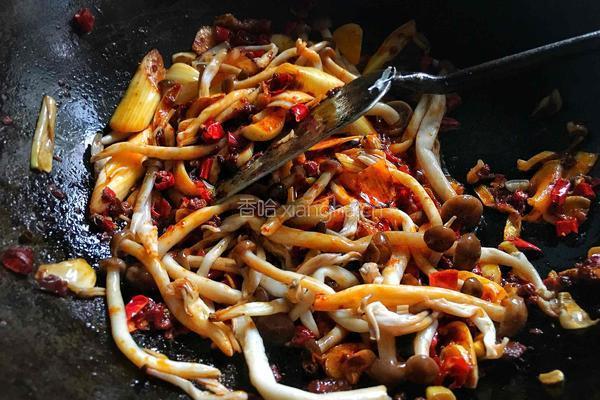 麻辣过瘾 香辣虾&麻辣香锅的做法图解13