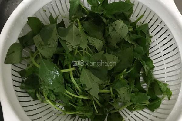 罗勒番茄汤的做法图解4