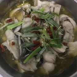 酸菜鱼的做法[图]