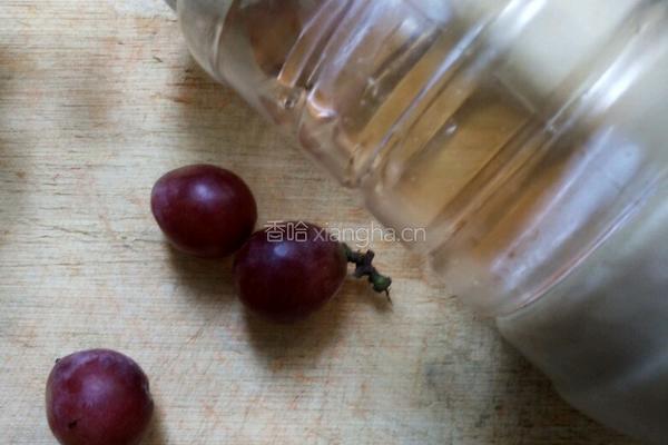 提子蜂蜜茶的做法图解1