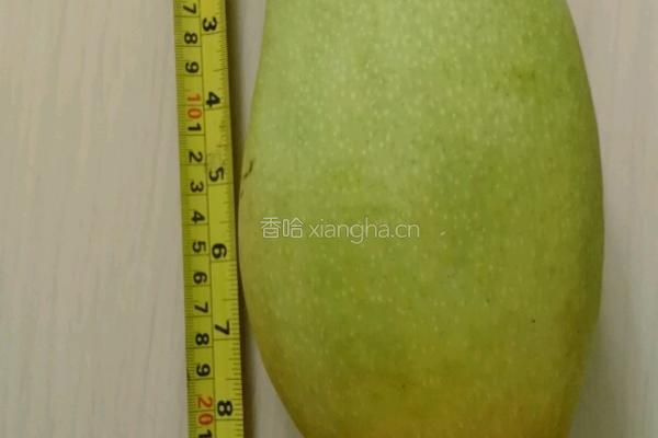 杨枝甘露的做法图解1