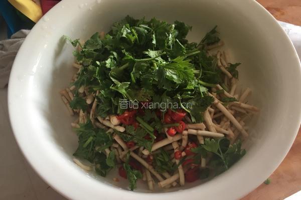 凉拌折耳根的做法图解3