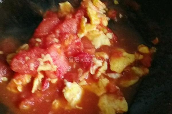 二伏鸡蛋西红柿面的做法图解4