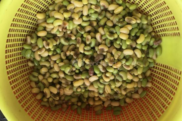 凉拌嫩饭豆的做法图解4