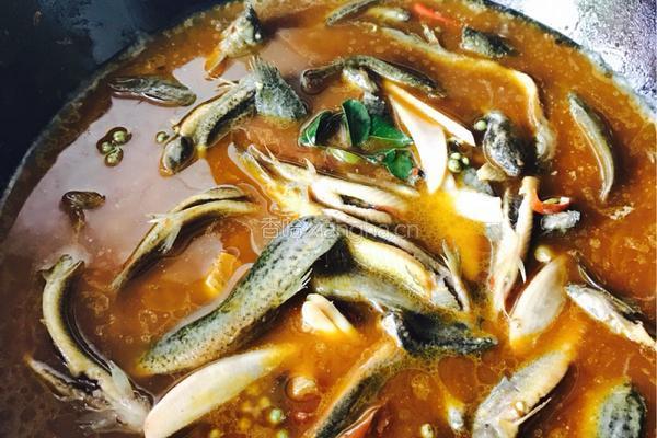 川味泡菜麻麻耙泥鳅的做法图解8