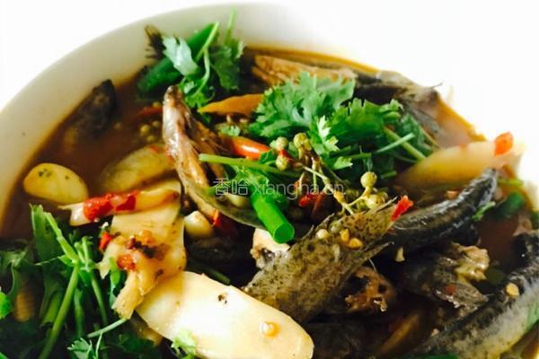 川味泡菜麻麻耙泥鳅的做法图解9