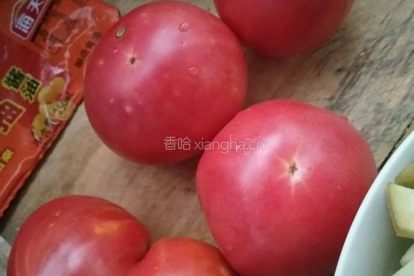 西红柿炒茄条的做法图解3