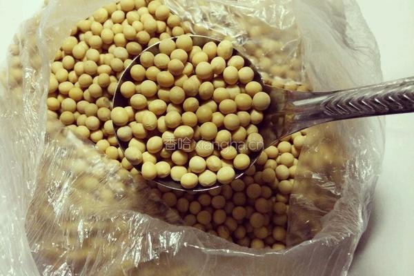 营养互补黄豆豆浆的做法图解1