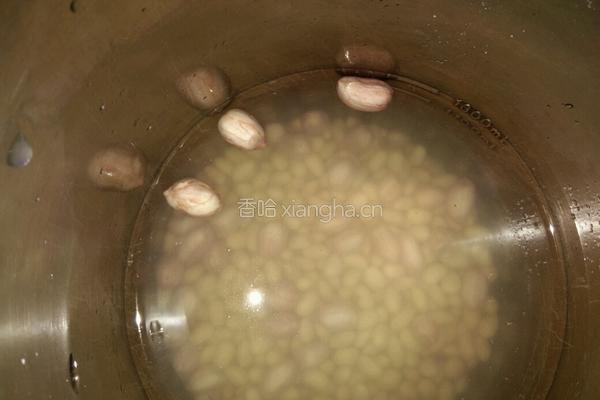 营养互补黄豆豆浆的做法图解3