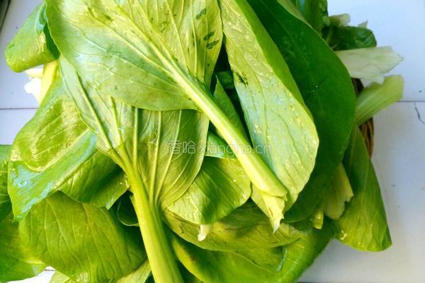 炝炒青菜的做法图解1
