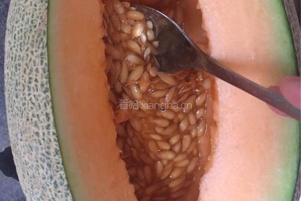 鲨鱼嘴哈蜜瓜的做法图解6