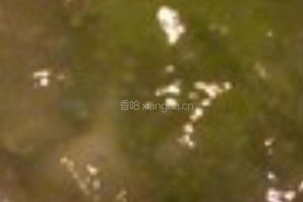 水馒头的做法图解8