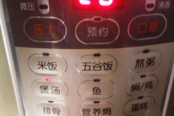 木瓜炖银耳汤的做法图解6