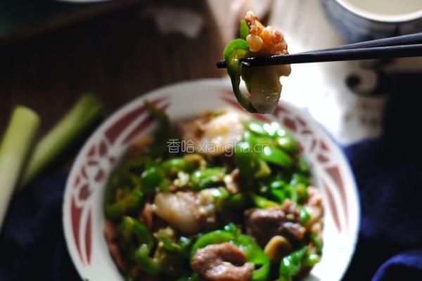 过瘾下饭 肉质超嫩的 农家小炒肉的做法图解12